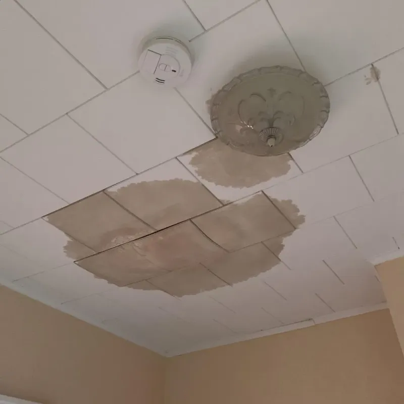 Ceiling Water Damage Repair in Fords, NJ