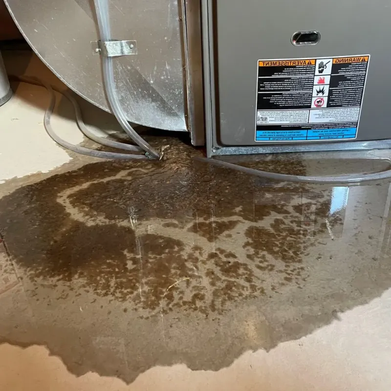 Pipe Burst and Leak Restoration in Fords, NJ