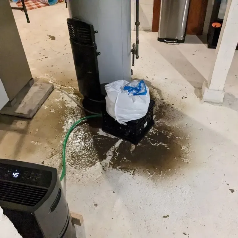 Sewage Backup Cleanup Service in Fords, NJ